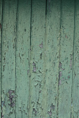 bois texture verte