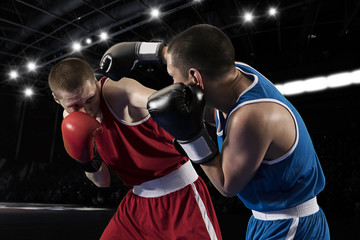 Two professional boxer boxing