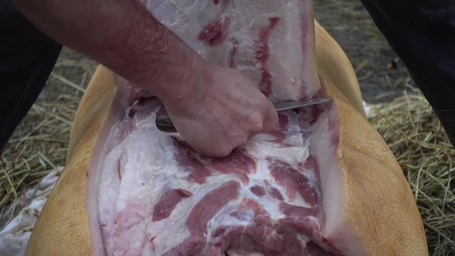 Cutting of pig carcasses in Europe and Asia 4k video.
