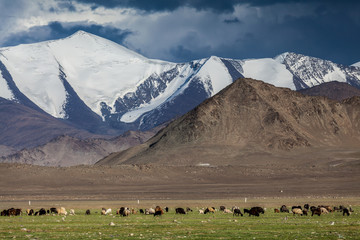 Nice view of Pamir in Tajikistan