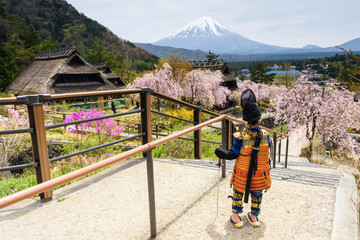 Fototapeta na wymiar Japanese warrior boy with sakura and mt. Fuji