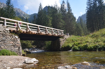 Mostek drewniany nad potokiem w Dolinie Kościeliskiej w Tatrach