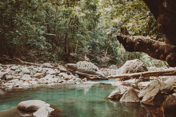 Guadeloupe - caribbean love