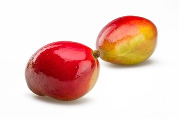 Shiny fresh Mangos