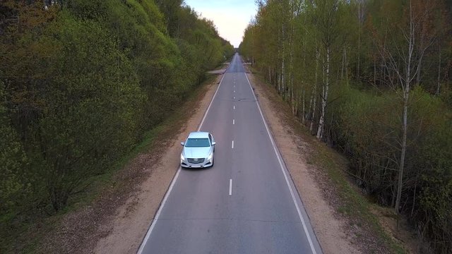 White executive car starts to move on the road in the forest