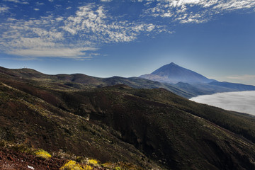 Tenerife
