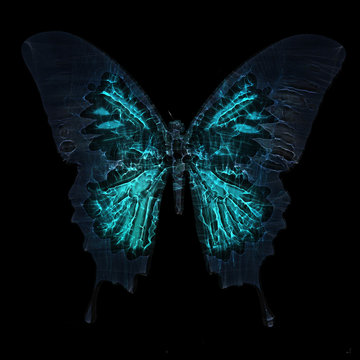 Abstract digital background, butterfly made of particles, lines and dots 