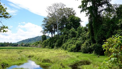 Landschaft bei Ankgor bei Siem Reap in Kambodscha