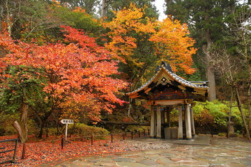 beautiful pavilion in autumn with "entrance" sign board
