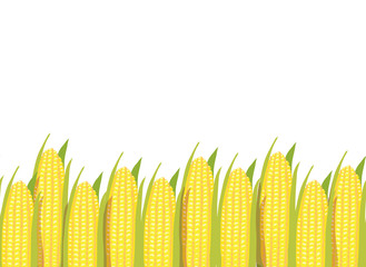 Corn plants horizontal seamless pattern background border © elinka_art
