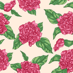 Floral seamless pattern garden flowers peonies. Vector. Design for fabrics, textiles, paper.