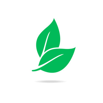 Eco icon green leaf.