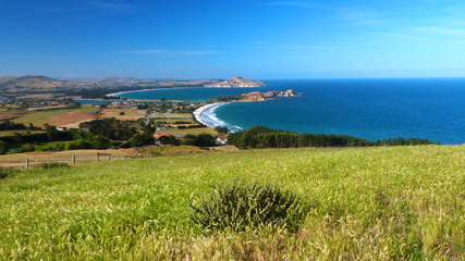 Dramatic Dunedin Coast, New Zealand