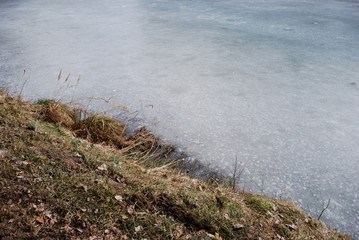Frozen bank of pond in winter