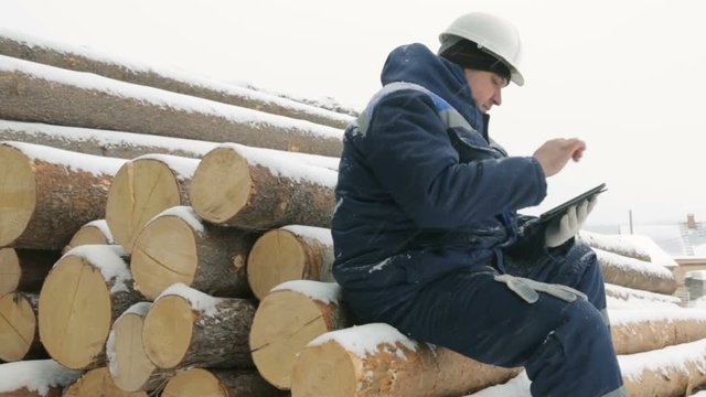Worker with tablet computer on big pile of logs in winter forest