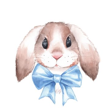 Cute rabbit. Watercolor illustration. Isolated on white background