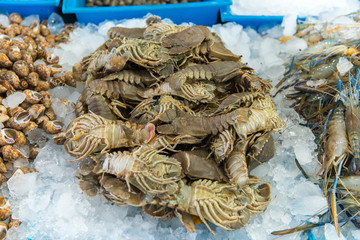 Fresh seafood in the market