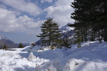 Hochgebirge um den Monte Cinto, Korsika