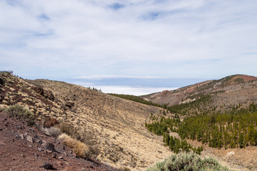 View of a hill in Teide Park on the island of Tenerife in Spain