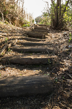 Coastal Wooden Footpath Going Upwards