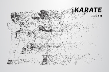 Karate of particles. Karate consists of small circles.