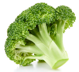 raw broccoli isolated