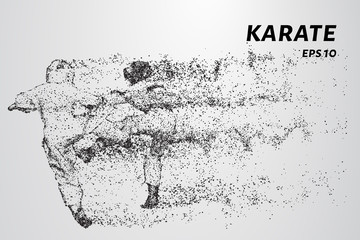 Karate of particles. Karate consists of small circles.