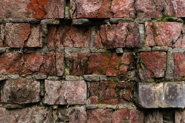 Grunge background Old brick wall weathered and falling apart. The cement interlayers between the bricks were covered with green moss. Impact of moisture on brick buildings