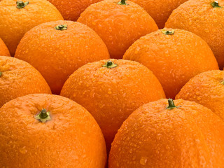 Group of orange fruits