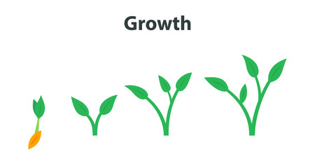 The process of growing plants. Stages and timeline infographic of planting tree.