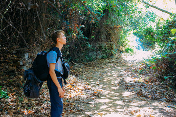 tourist with a backpack on a forest path in the mountains