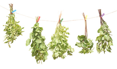 Hanging fresh herbs