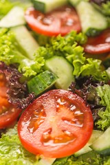 Fresh spring salad with vegetable