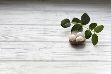 Eggs in the nest on white wooden background.