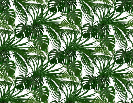 Jungle. Green leaves of tropical palm trees, monstera, agave. Seamless. Isolated on white background. illustration © lily_studio