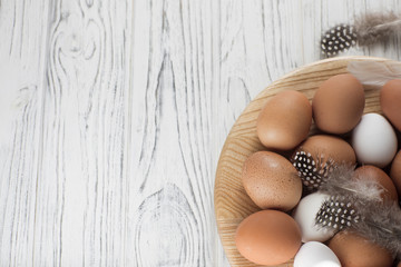 Easter eggs with feathers on wooden plate.