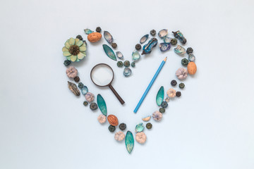 Heart symbol made of various natural things with magnifier and pencil. Explore and love nature concept. Flat lay.