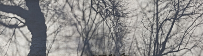 Mauer im Halbschatten