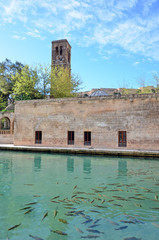 Balikligol, Halilurrahman Mosque Sanliurfa, Turkey