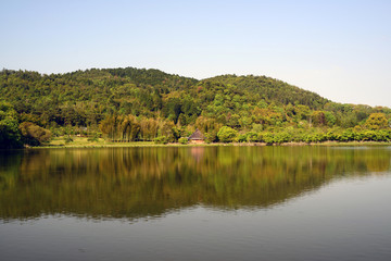 Fototapeta premium Hirosawa no ike-an irrigation pond-4