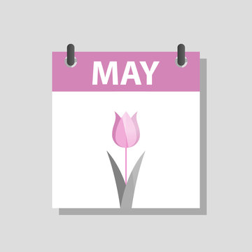 May calendar and month illustration with minimal modern style purple tulip. 