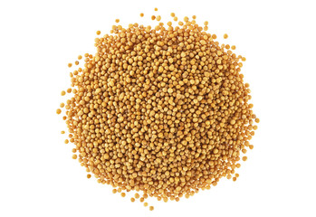 Yellow mustard seeds isolated on white background, top view