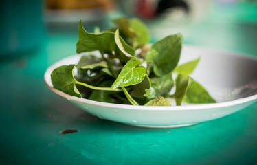 Thai folk vegetables are both health food and medicine.