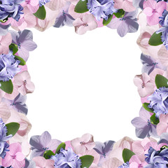 Beautiful floral background of hydrangea and hyacinth 