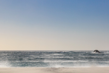 A Beach along the Cape Peninsula in South Africa
