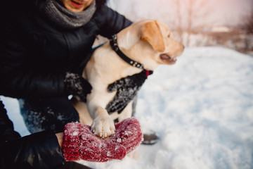 Friendship dog. Pair is holding labrador dog paw in winter. The dog looks into frame and smiles.