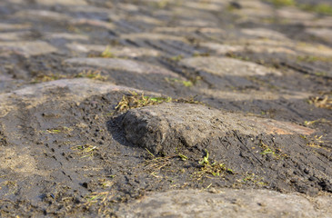 Cobblestone Road- Detail