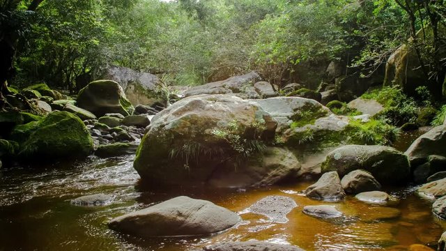 River in the Peruvian Rainforest Tilt Up - Time Lapse