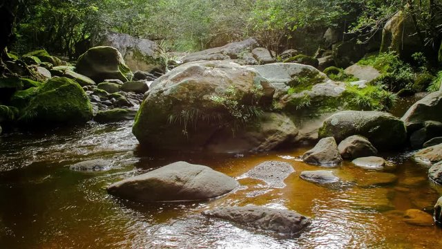 River in the Peruvian Rainforest Time lapse