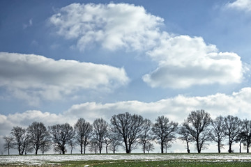 end of winter landscape